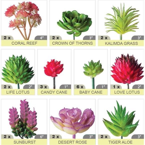 24 Mini Artificial Succulent Plants Unpotted : Fake Succulents Picks Realistic - Picture 2 of 6